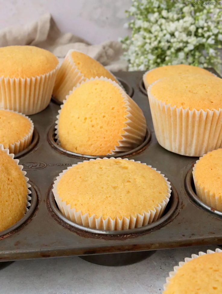 Vanilla cupcake
